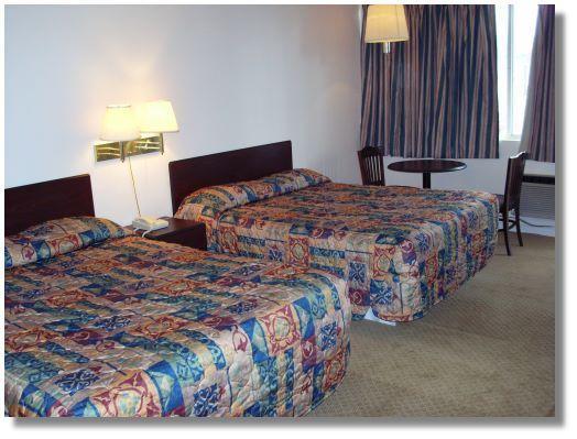 Executive Inn Mena Phòng bức ảnh